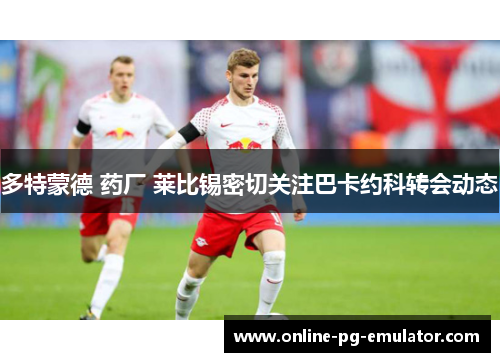 多特蒙德 药厂 莱比锡密切关注巴卡约科转会动态 多特蒙德 药厂 莱比锡密切关注巴卡约科转会动态