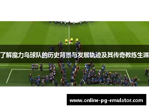 了解魔力鸟球队的历史背景与发展轨迹及其传奇教练生涯 了解魔力鸟球队的历史背景与发展轨迹及其传奇教练生涯