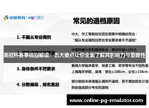 美冠杯赛事级别解读：五大要点让你全面了解其影响力与重要性