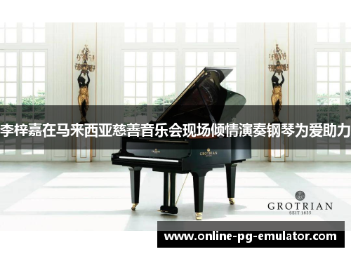 李梓嘉在马来西亚慈善音乐会现场倾情演奏钢琴为爱助力 李梓嘉在马来西亚慈善音乐会现场倾情演奏钢琴为爱助力