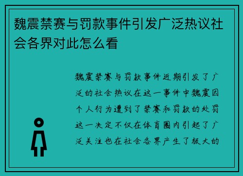 魏震禁赛与罚款事件引发广泛热议社会各界对此怎么看